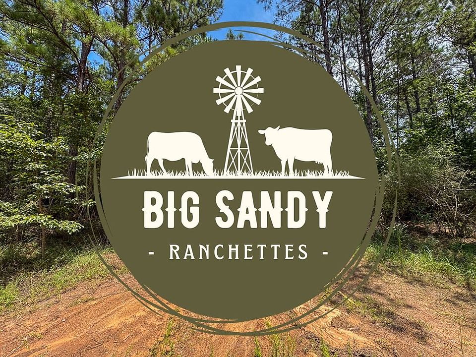Bigsandyranchettes 2 Logo