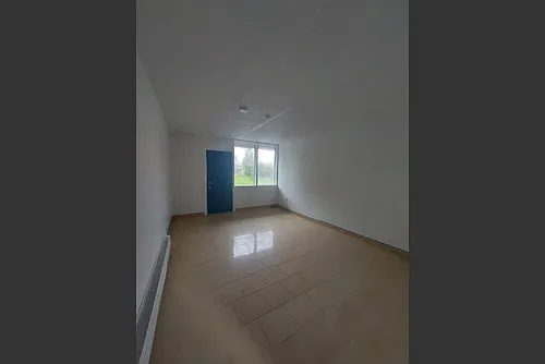 410 Pim St #12 Photo 1