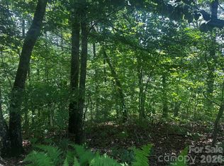 0 South Dr, Lake Lure, NC 28746