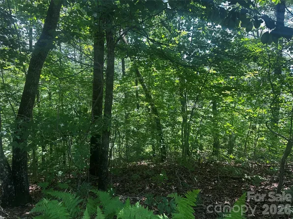 0 South Dr, Lake Lure, NC 28746