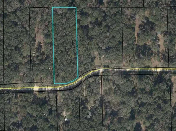 TBD NE 173rd Ave, Old Town, FL 32628