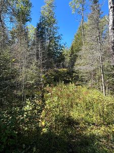 W M 134 Hwy, Hessel, MI, 49745