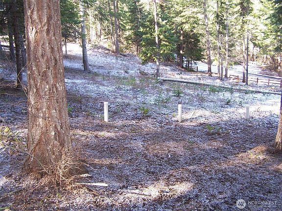 4th image of 1941 Timber Mountain Loop