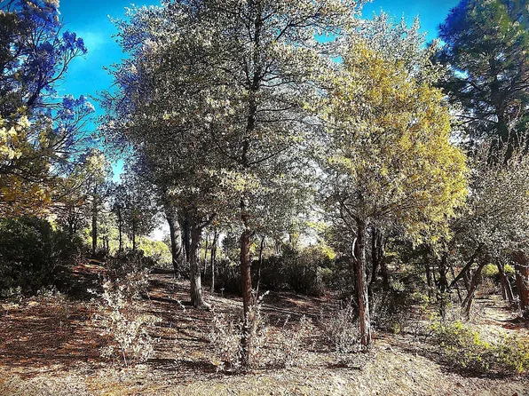 2812 E COYOTE MINT Circle #56, Payson, AZ 85541