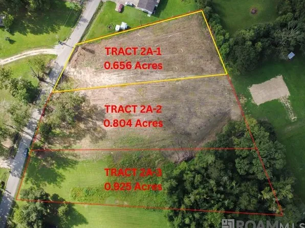 TRACT 2A Muddy Creek Rd, Prairieville, LA 70769