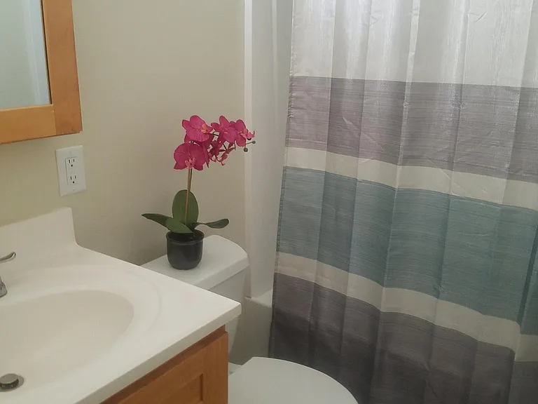 1185 Palekaiko St — Photo 2