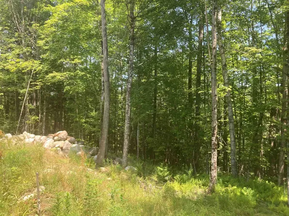 New Aldrich Road, Grantham, NH 03753