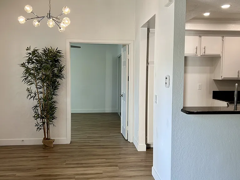 View from livingroom