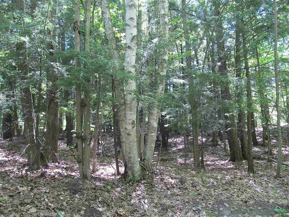 2nd image of 651 2nd St