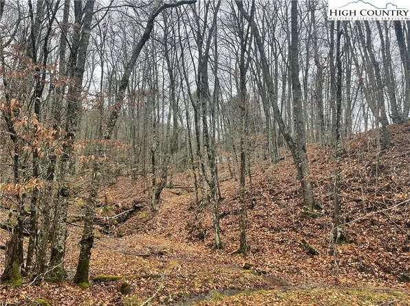 107 Pond Creek Lane, Beech Mountain, NC 28604