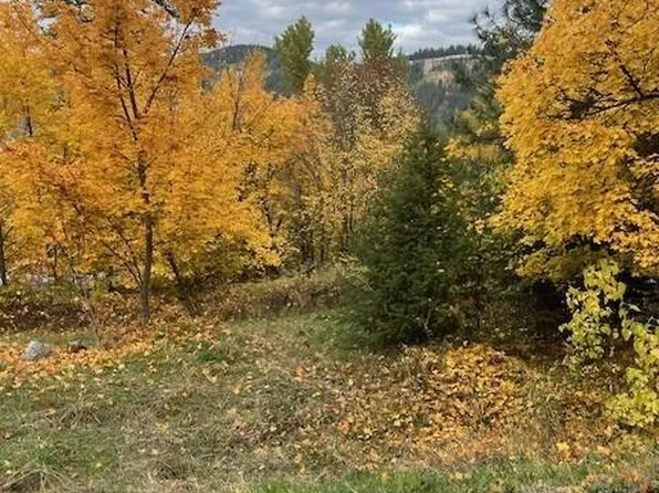 Nna Ora Ave, Saint Maries, ID 83861