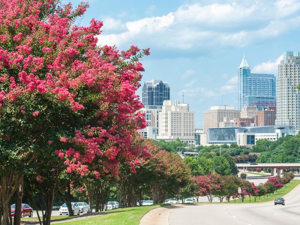 raleigh-north-carolina-443488673 picture