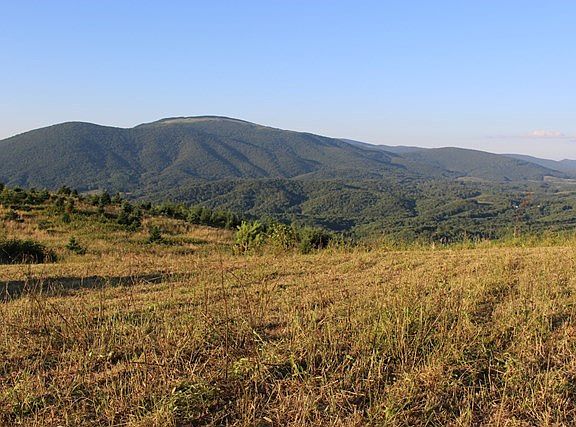 5th image of 2315 Pond Mountain Ln