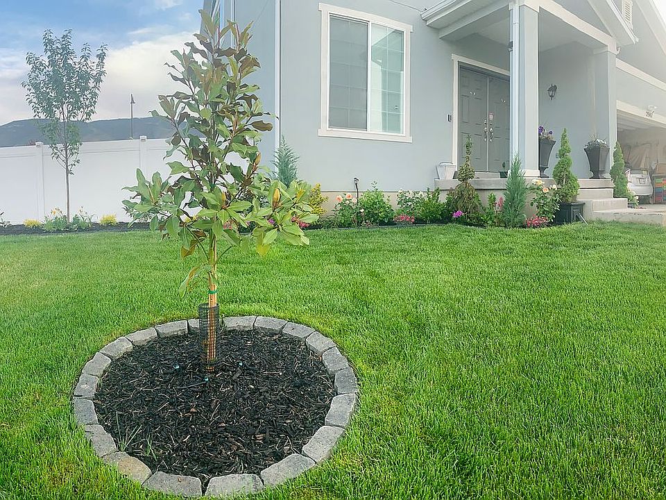 2nd image of 2947 S Yellow Bill Dr