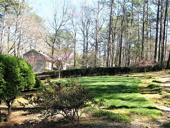 Spacious backyard