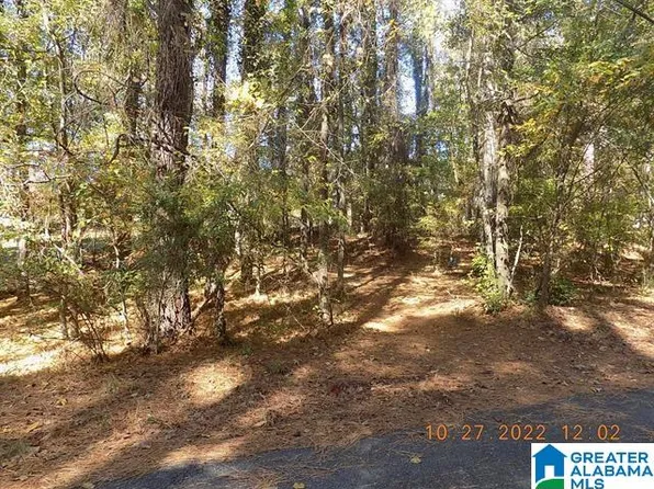 0 Butter & Egg Rd #120, Columbiana, AL 35051