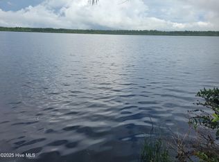 575 S Horsepen Rd, Harrells, NC 28444