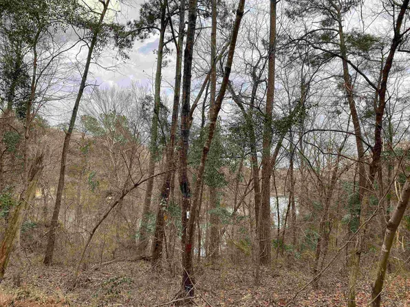 0 Mon Dye Rd #9, Phil Campbell, AL 35581