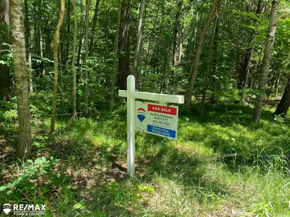 0 Browns Rd, Lake, MI 48632