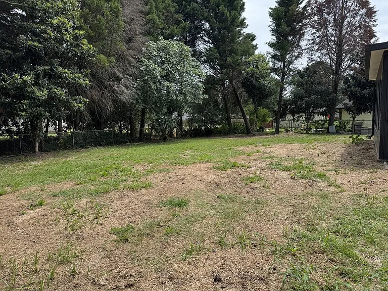 327 Bonnie Dr — Photo 17