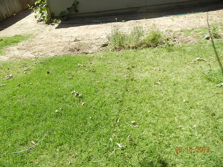 2 Bedroom Duplex — Photo 6