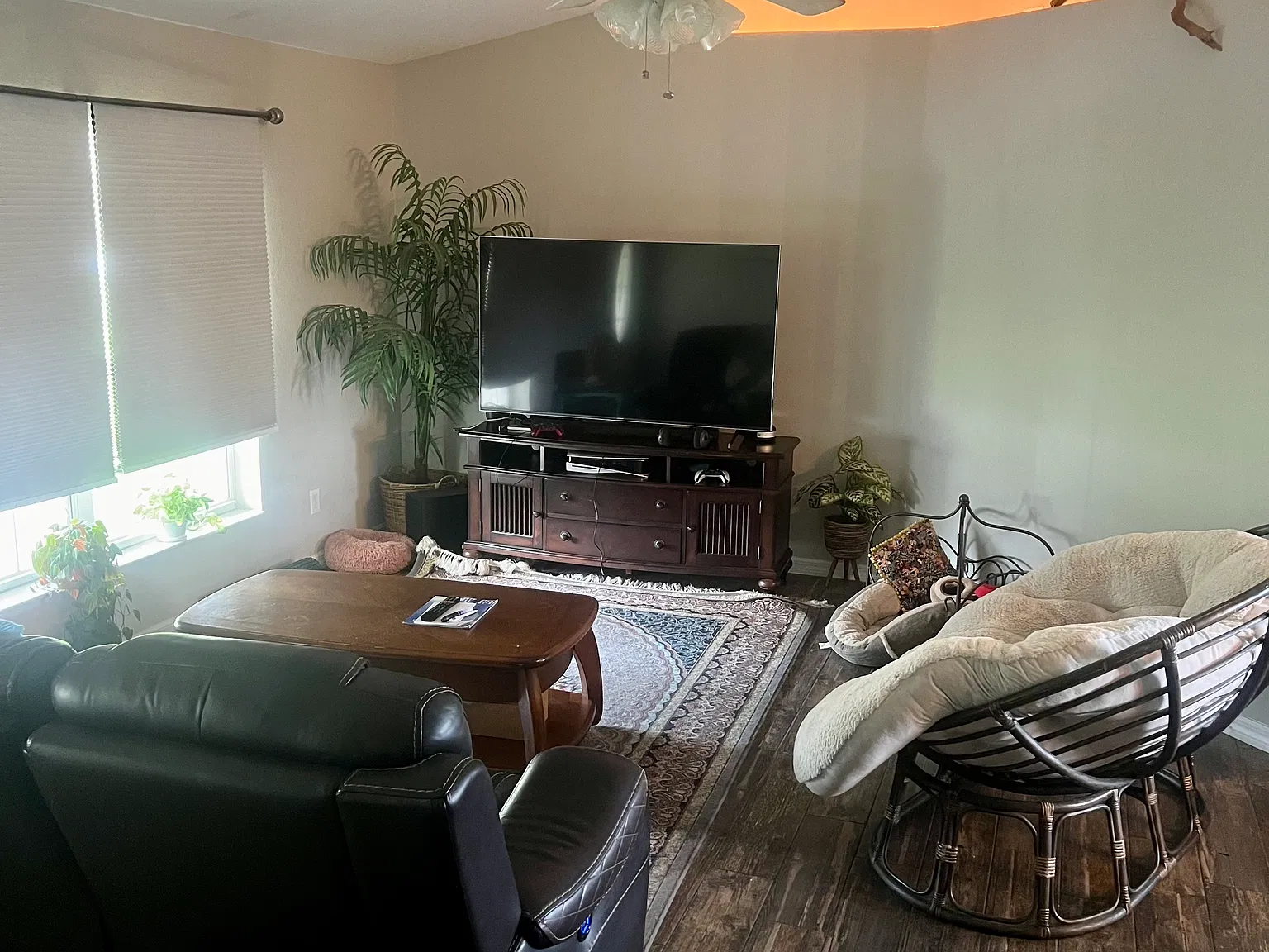 47 Pittman Dr — Photo 2