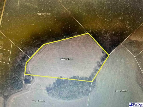 Wolftrap Ln, Blenheim, SC 29516