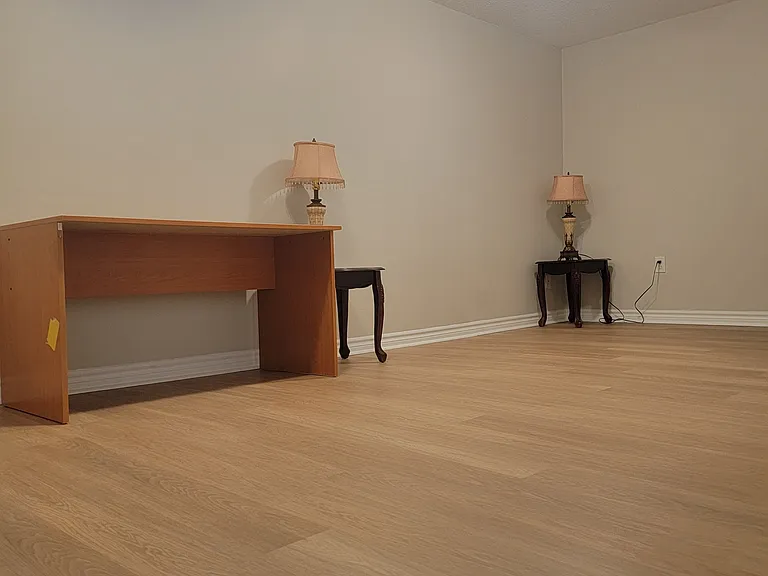 31 Pinecone Dr #BASEMENT — Photo 11