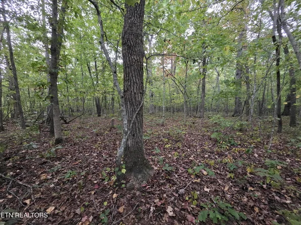 N Lake Trl, Monterey, TN 38574