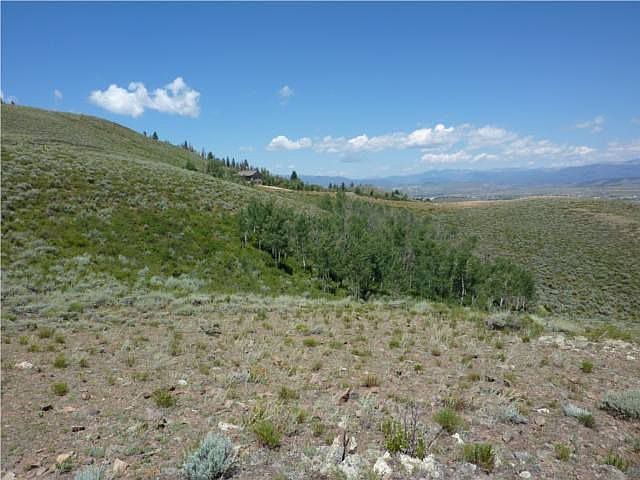Looking North with Aspens