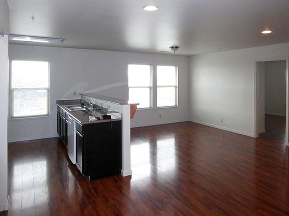 Living room and kitchen