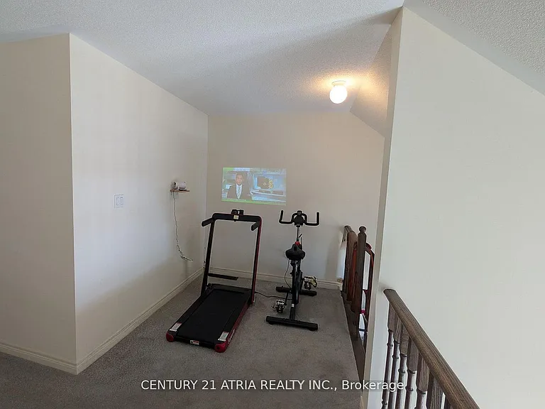 8 McAlister Ave — Photo 15