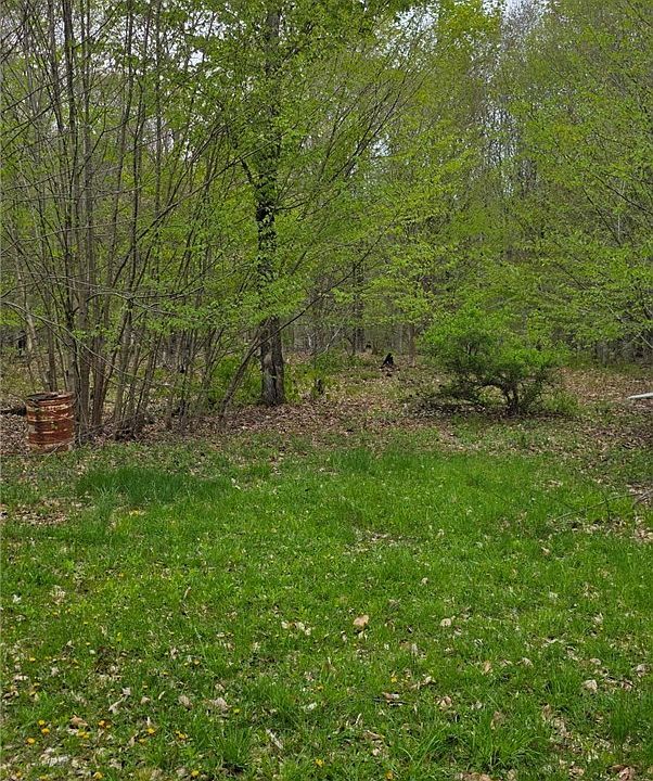 1st image of Steelhead Ln