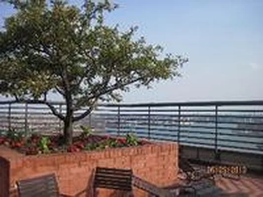 Rented by Luxury Habitat | media 106
