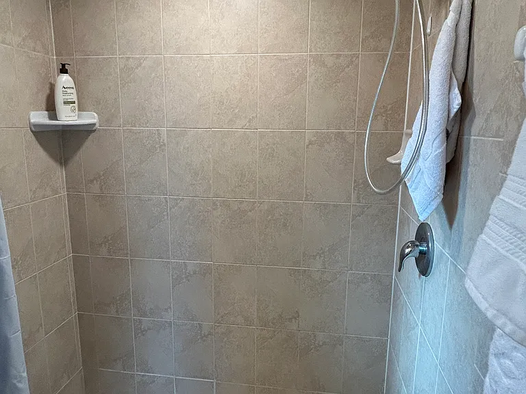 Interior of the Main Bedroom Shower