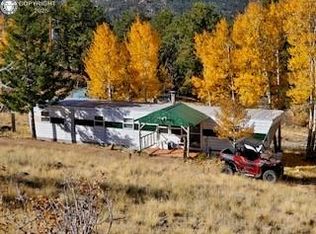 571 Ponderosa Dr, Florissant, CO 80816