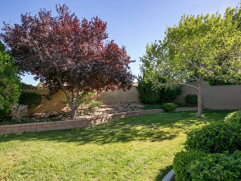 Rear Yard