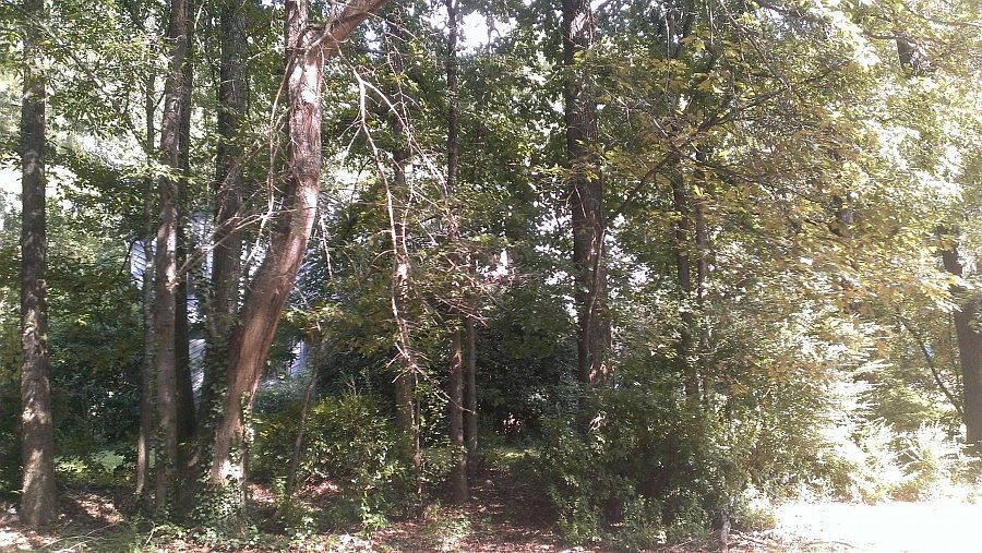 1st image of 4210 Iris Brooke Ln