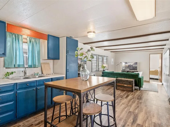 164 Mallard Street, Golden, CO 80401