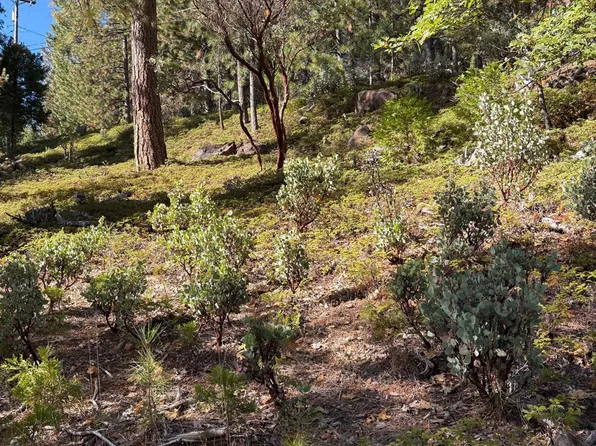 1984 Pine Cone Dr, Arnold, CA 95223