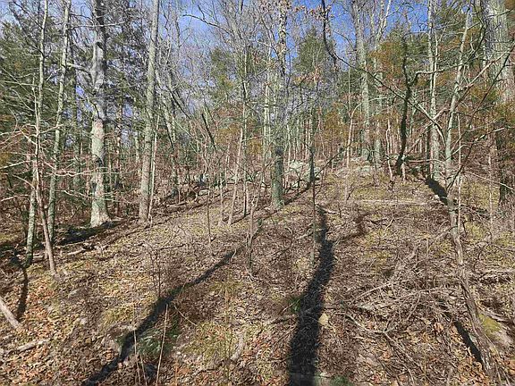 2nd image of 0 Fawn Rd