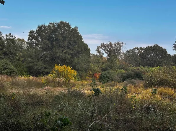 95 County Road 4114, Daingerfield, TX 75638