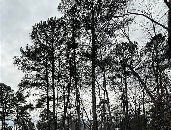 2nd image of 1AC Holy Neck Rd