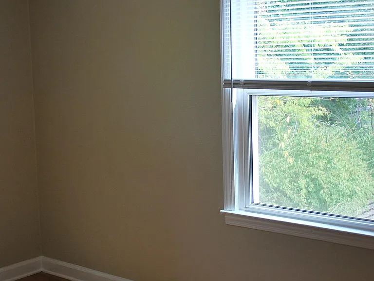 Back bedroom window towards driveway