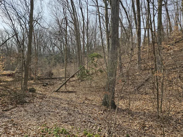 Dunewood Dr Lot 21, Bridgman, MI 49106