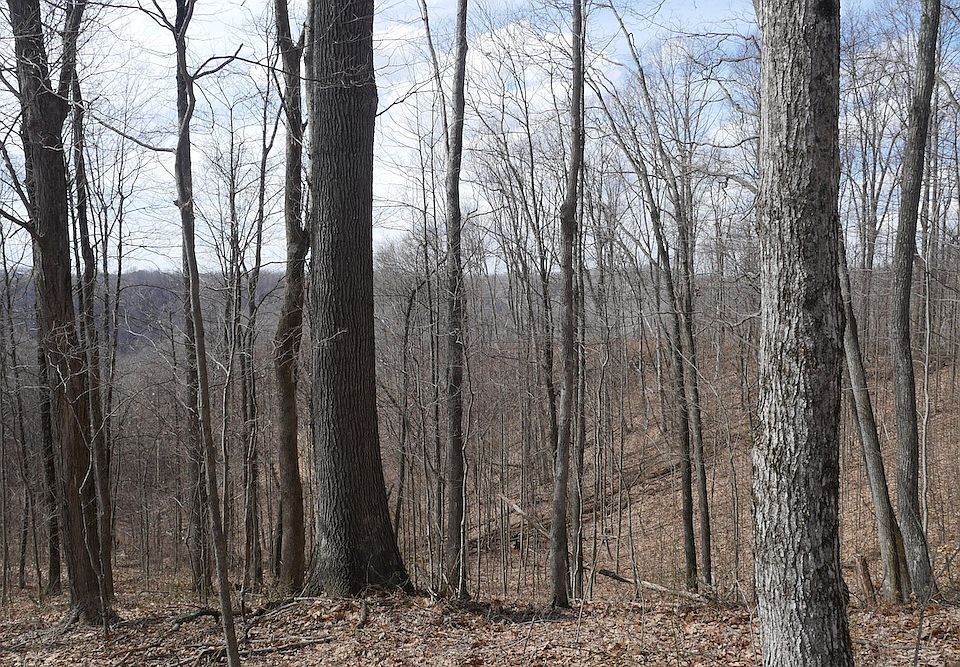 1st image of Reynolds Ridge Rd Lot Wp002