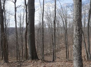 Reynolds Ridge Rd LOT WP002, Bandy, VA 24602