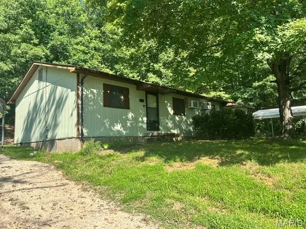 307 N Lucas St, Pilot Knob, MO 63663