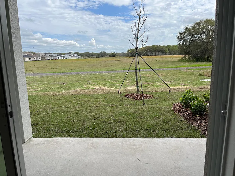 10388 Trumpet Honeysuckle Way — Photo 14