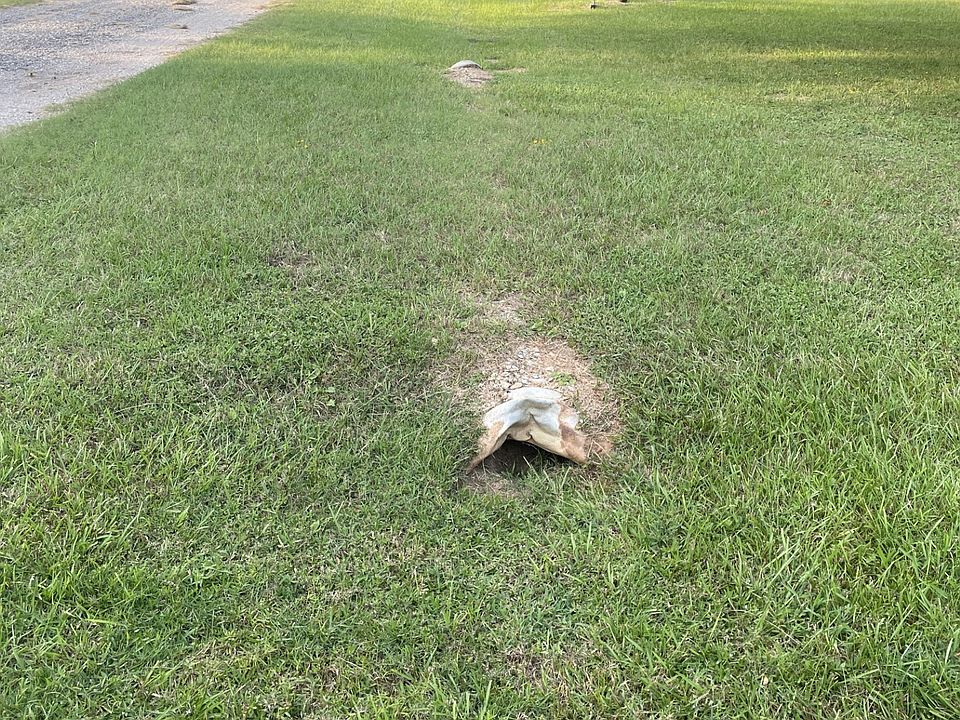 1st image of 41AND42 Lisa Ln
